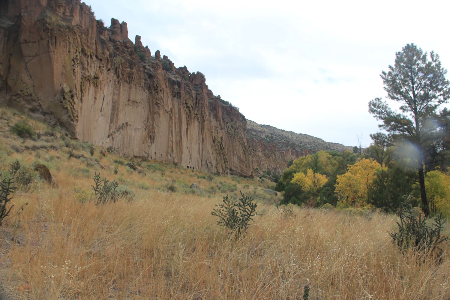 Bandalier National Monument 